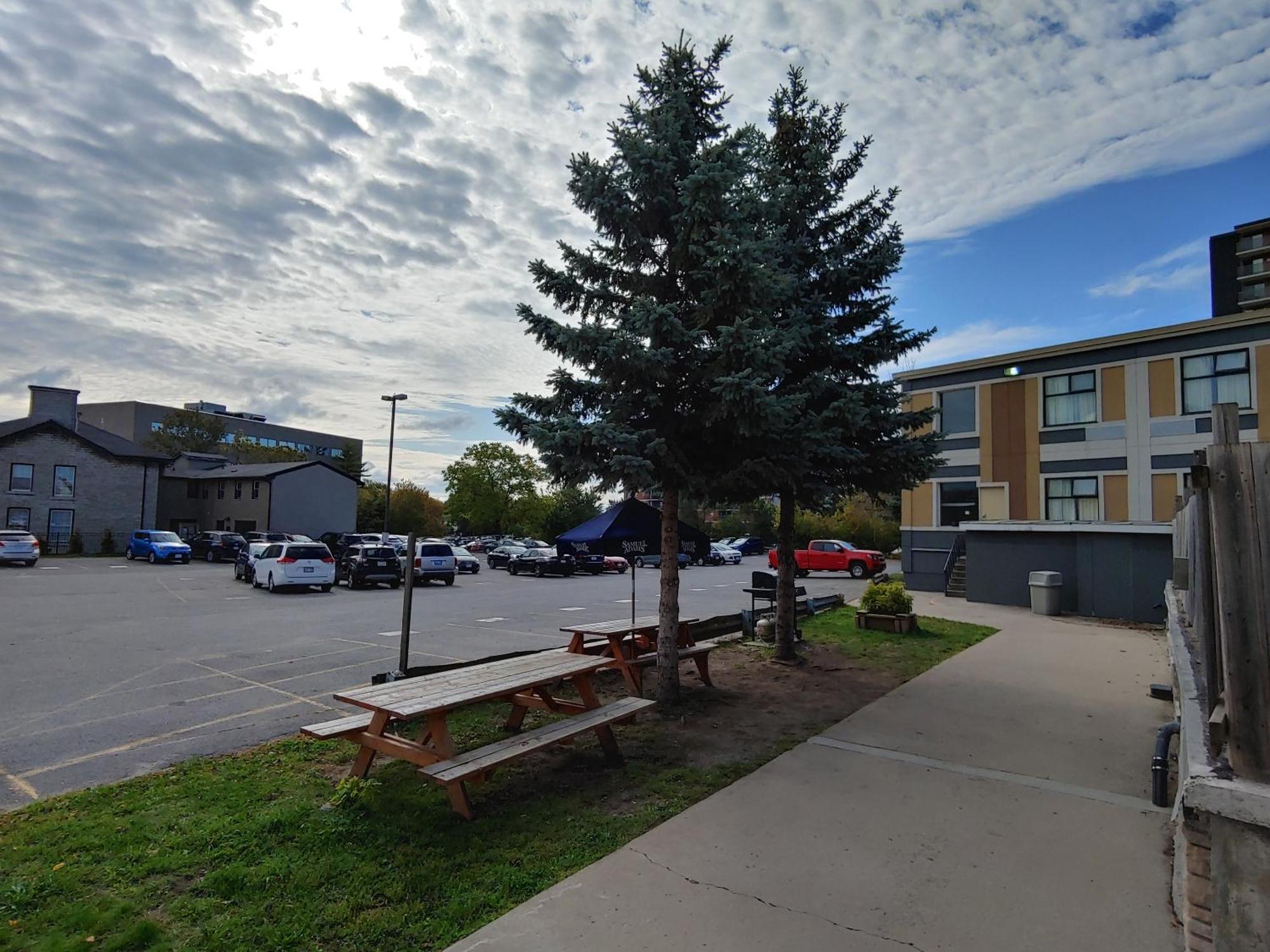 Econo Lodge City Centre Kingston Dış mekan fotoğraf
