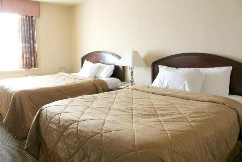 Econo Lodge City Centre Kingston Dış mekan fotoğraf