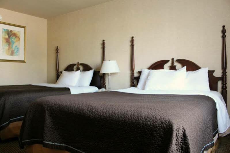 Econo Lodge City Centre Kingston Dış mekan fotoğraf