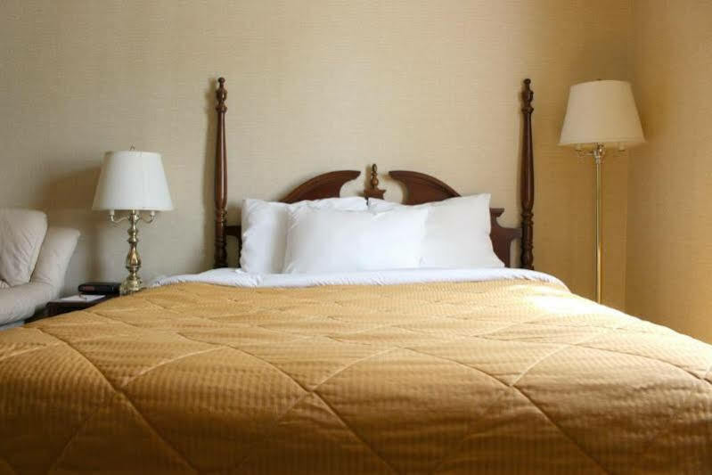 Econo Lodge City Centre Kingston Dış mekan fotoğraf