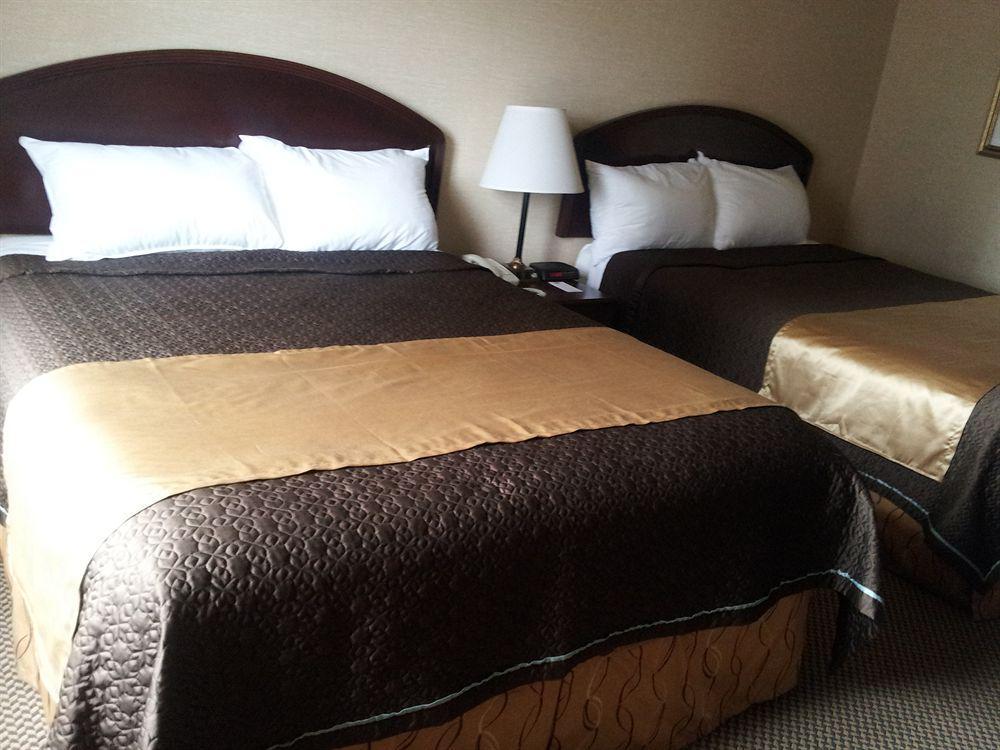 Econo Lodge City Centre Kingston Dış mekan fotoğraf